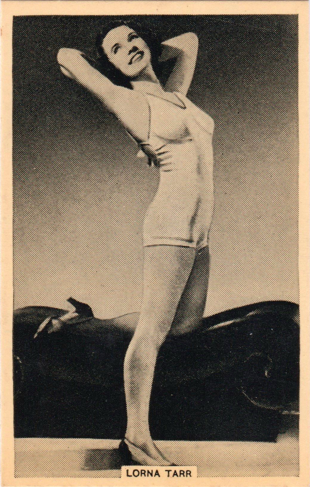 LORNA TARR