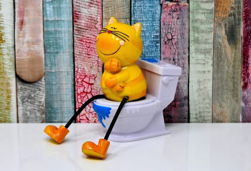 WHY A SPOTLESS LITTERBOX MATTERS