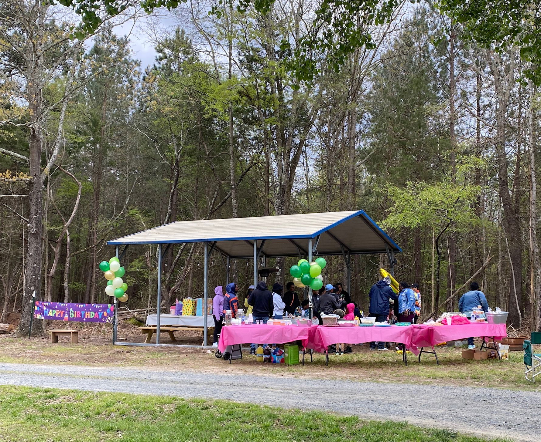 Birthday Party Shelter