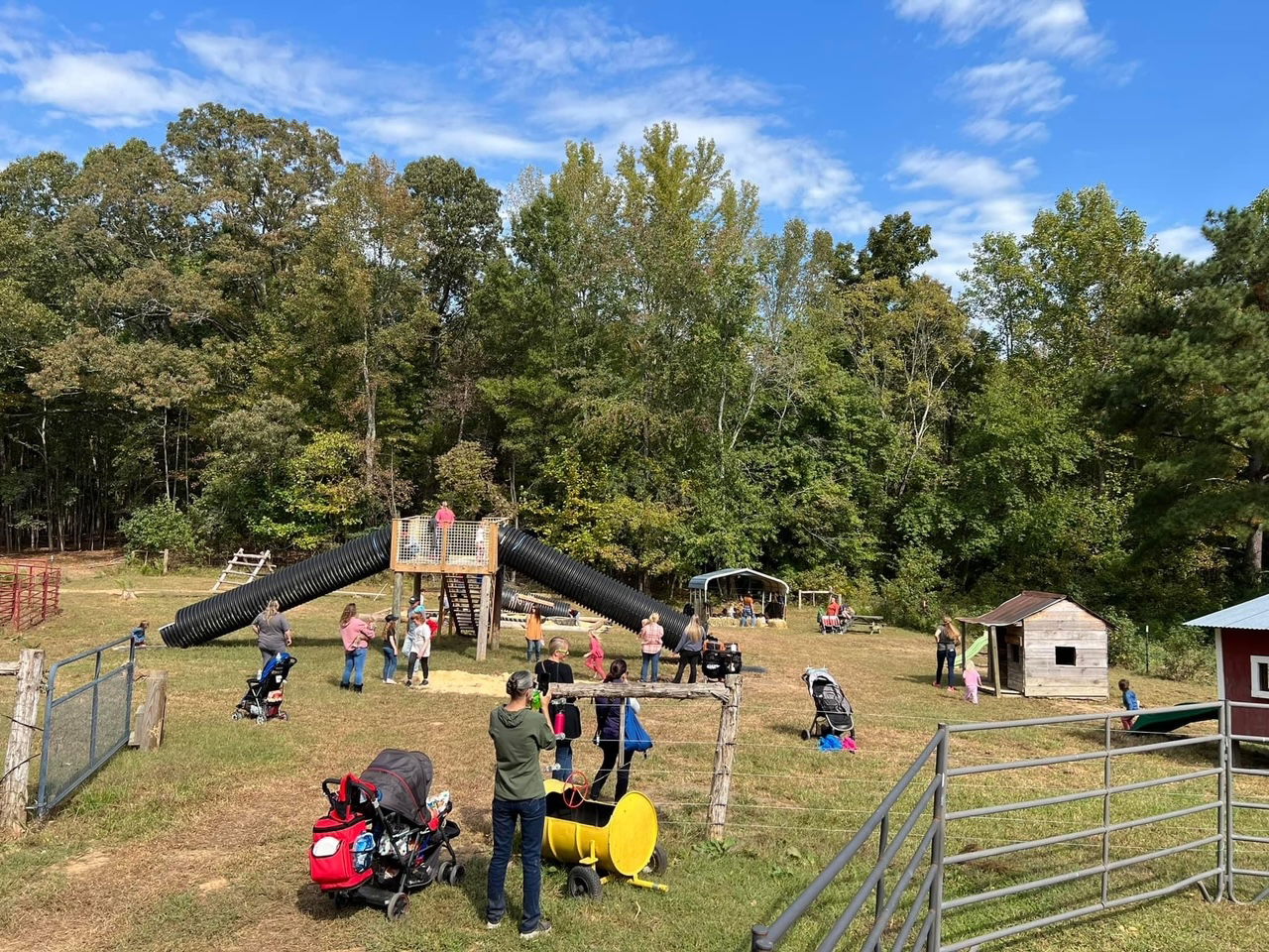 Big Farm Playground