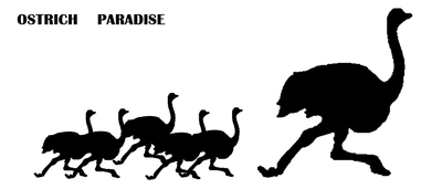OSTRICH  PARADISE