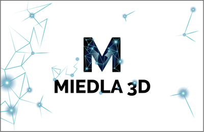 MIEDLA 3D