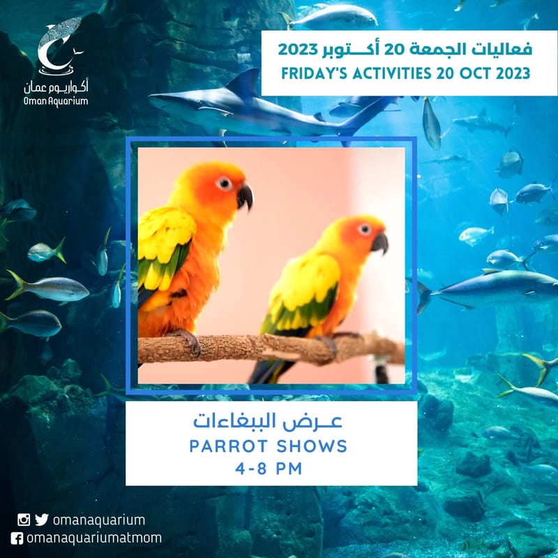 Parrot Show