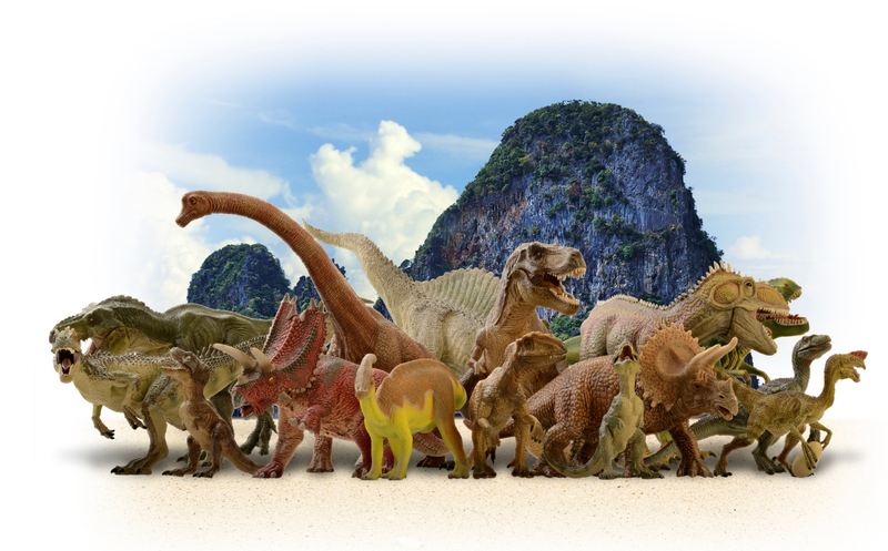 Exciting Mystery Boxes