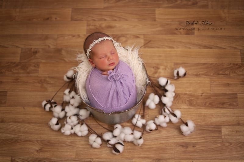 מלאכיות זערורית...