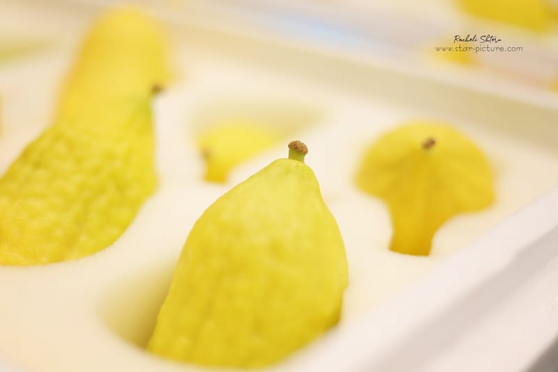 ריח סוכות בני ברקי ברחוב