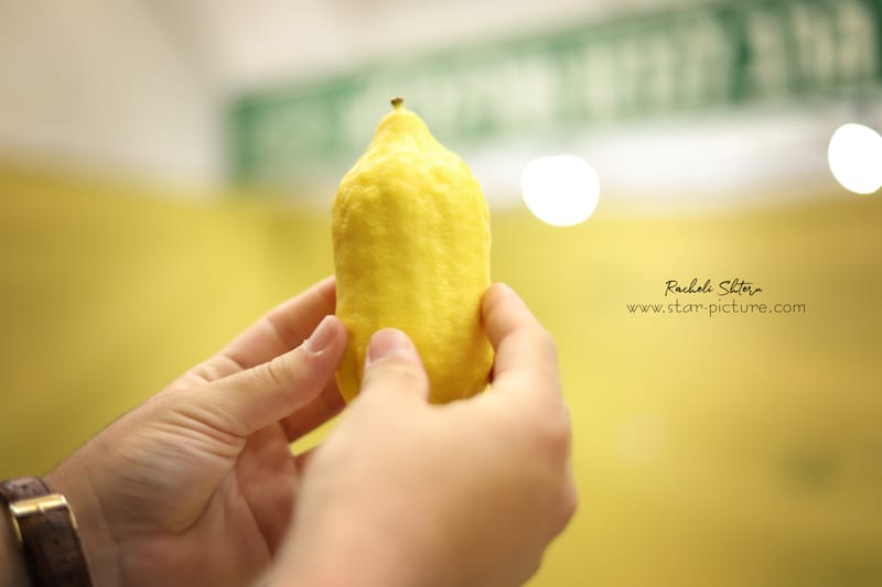 ריח סוכות בני ברקי ברחוב