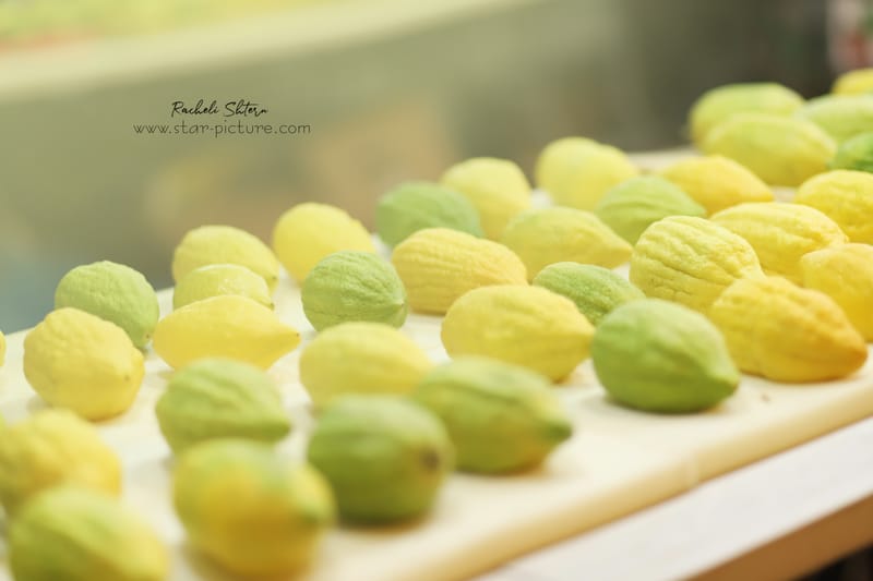 ריח סוכות בני ברקי ברחוב