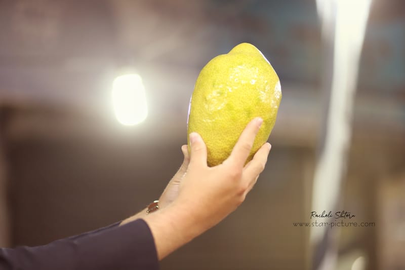 ריח סוכות בני ברקי ברחוב