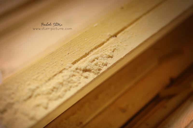 ריח סוכות ברחוב חלק ב'