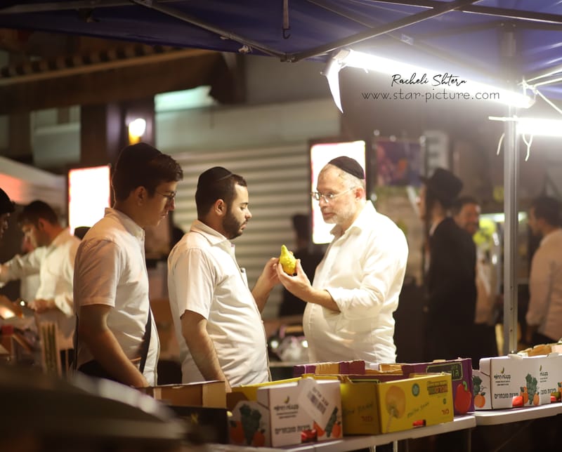 ריח סוכות ברחוב חלק ב'