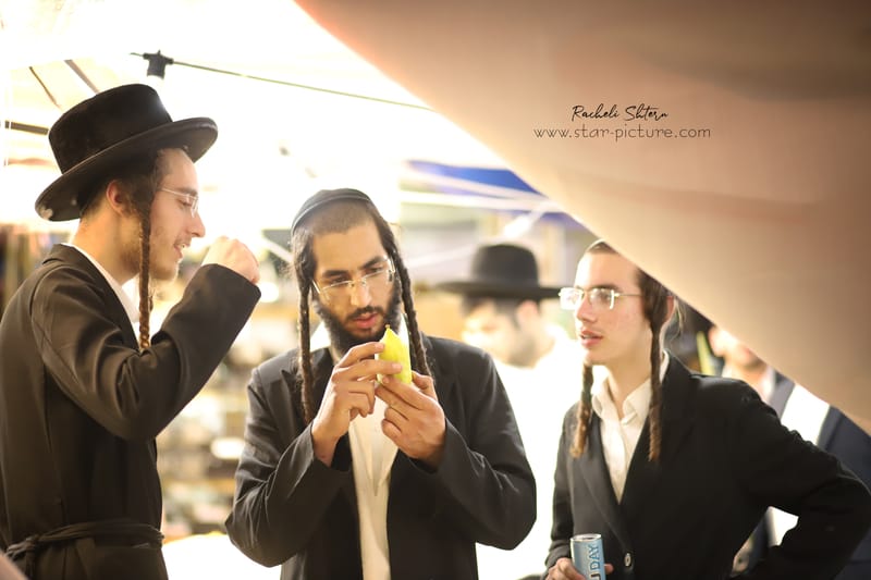 ריח סוכות ברחוב חלק ב'