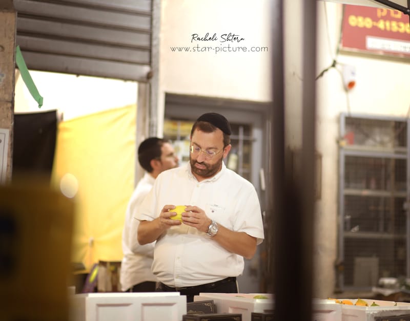 ריח סוכות ברחוב חלק ב'