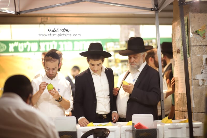 ריח סוכות ברחוב חלק ב'