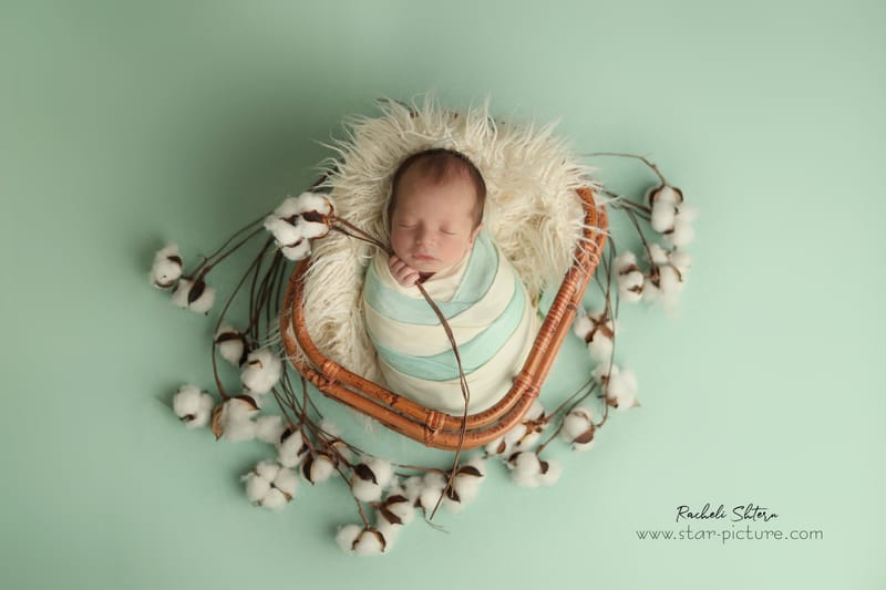 מנטה ירקרק- אצילות ואומנות