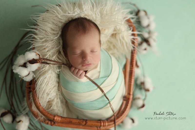 מנטה ירקרק- אצילות ואומנות