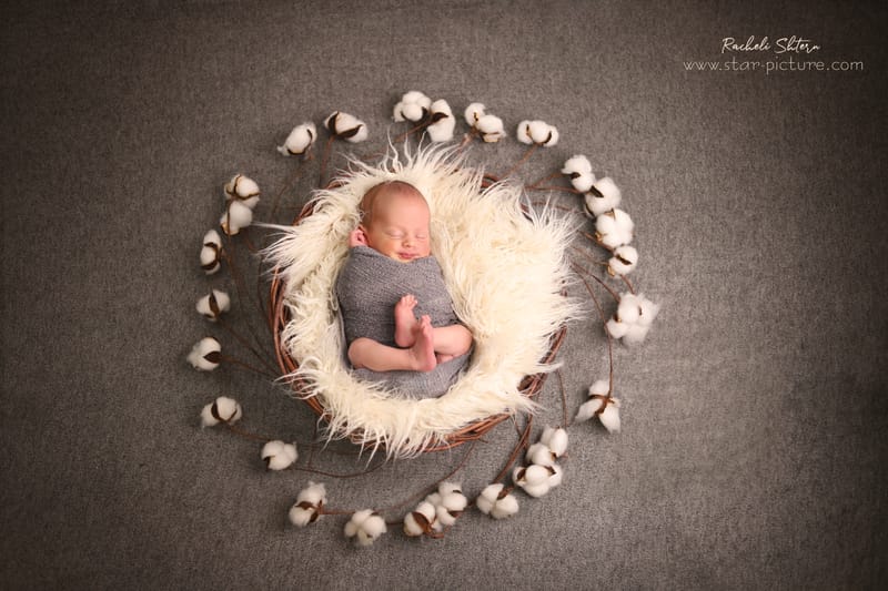 אפור- הכהה שמדגיש את היופי