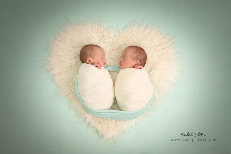 מנטה ירקרק- אצילות ואומנות