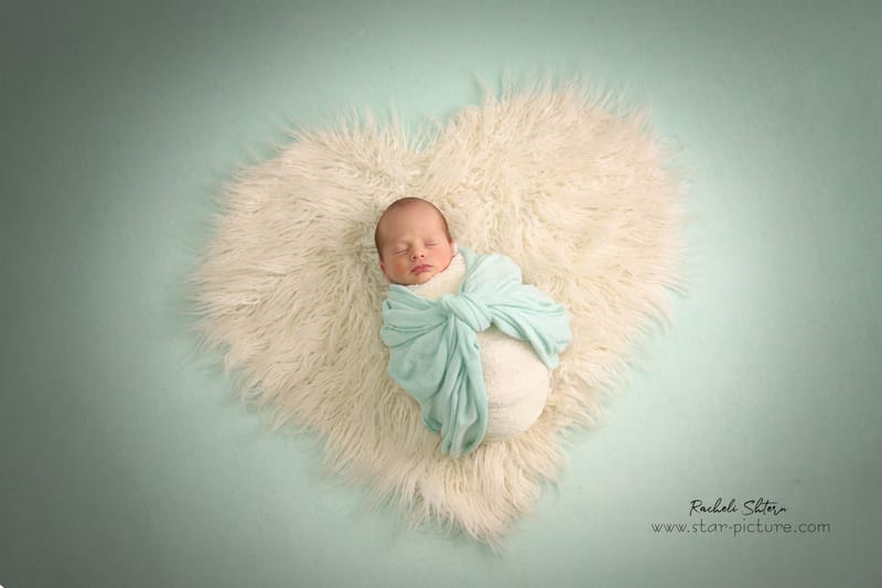 מנטה ירקרק- אצילות ואומנות