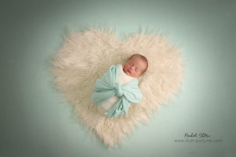 מנטה ירקרק- אצילות ואומנות