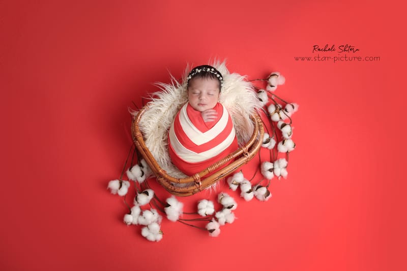 אדום- עוצמה של וורוד