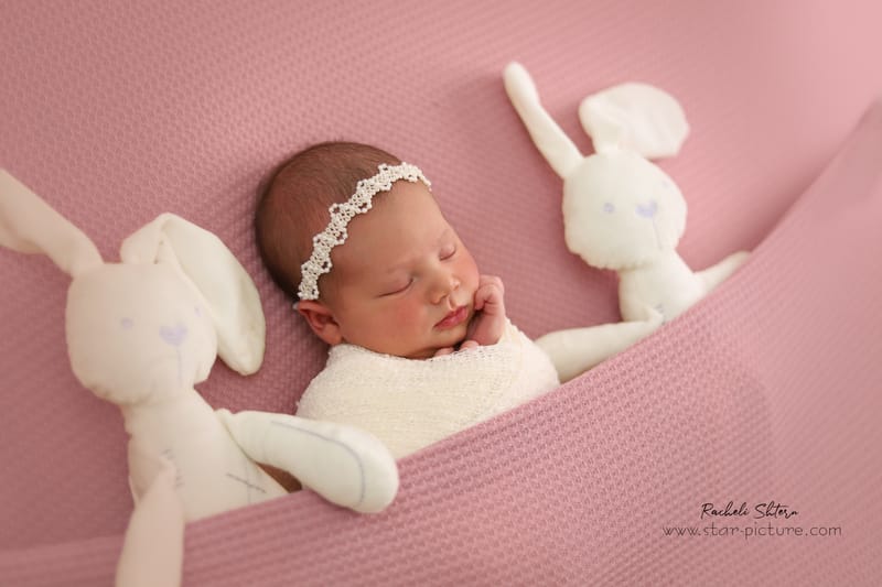 סגול מקורי לחובבות האומנות שבינינו