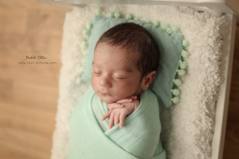 מנטה ירקרק- אצילות ואומנות