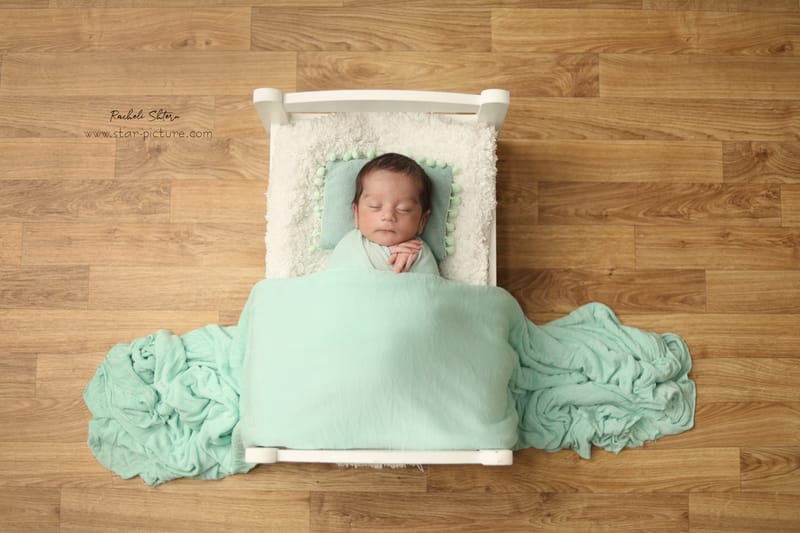 מנטה ירקרק- אצילות ואומנות