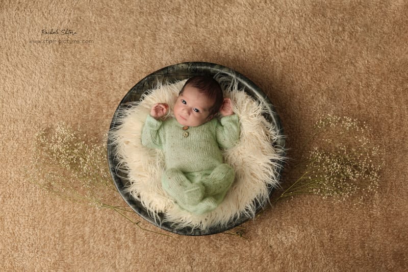 מנטה ירקרק- אצילות ואומנות