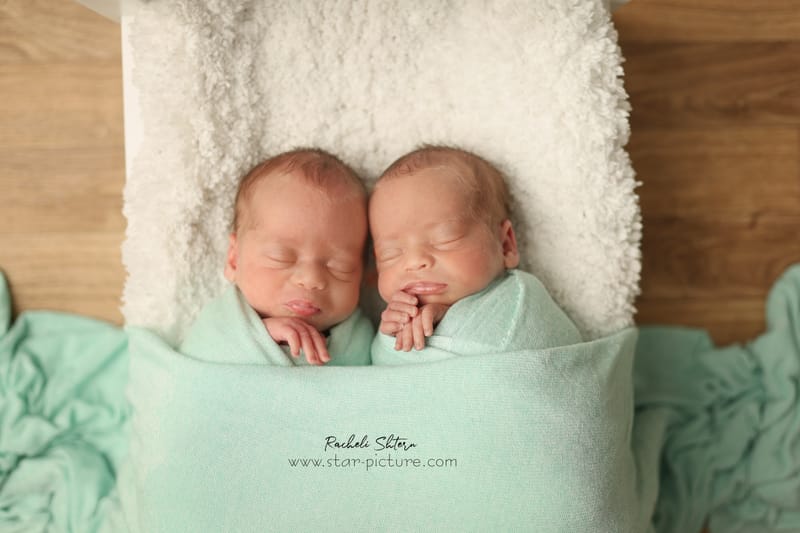 מנטה ירקרק- אצילות ואומנות