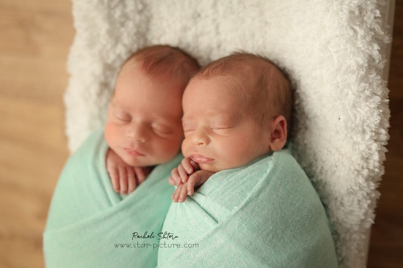 מנטה ירקרק- אצילות ואומנות