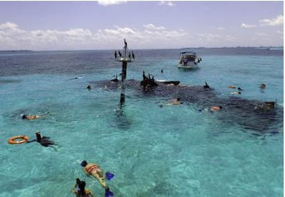 Snorkeling in Cancun: Discover the Ultimate Snorkel Tour in Isla Mujeres