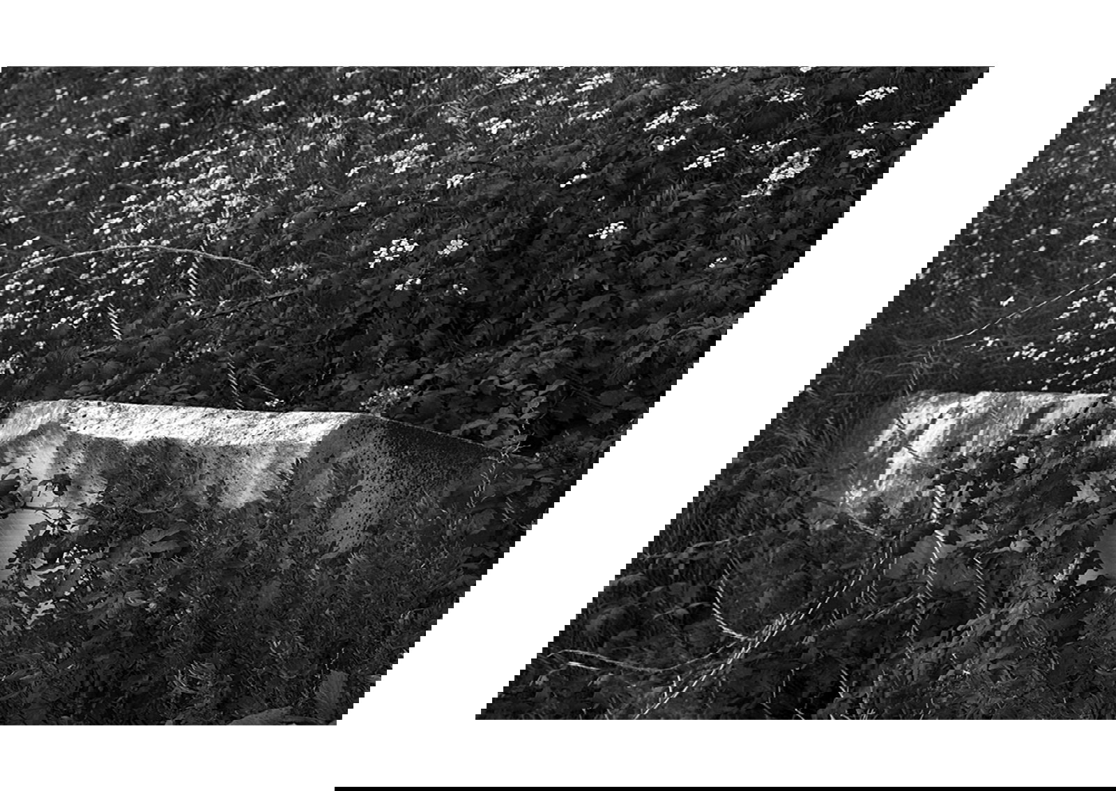 7 fotografias expostas na fábrica de moagem “A Portuguesa”, integrada na exposição colectiva ”OS SÍTIOS DA PEDRA”- Complexo Cultural da Levada em Tomar. 24Out|7Dez 2020.