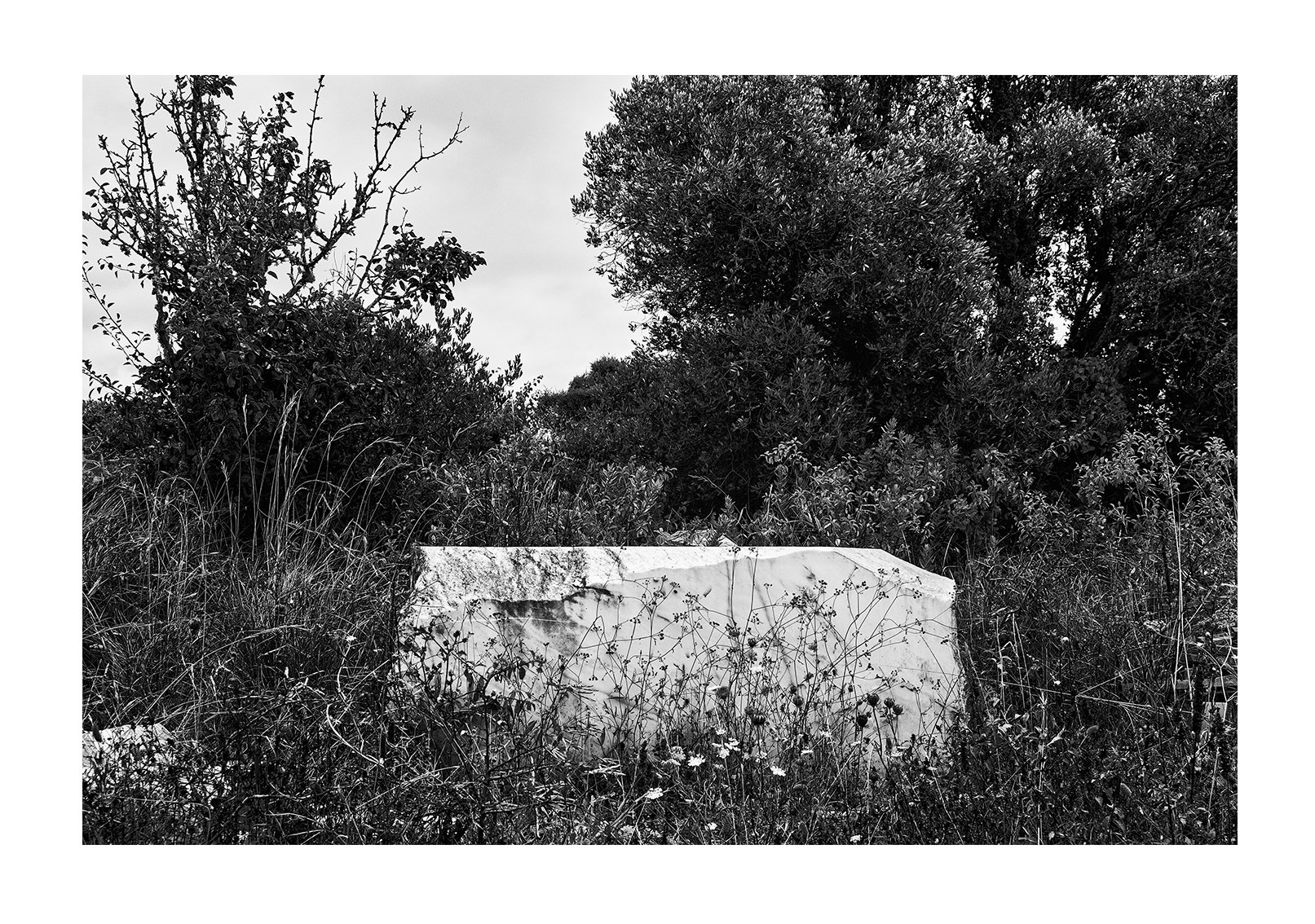 7 fotografias expostas na fábrica de moagem “A Portuguesa”, integrada na exposição colectiva ”OS SÍTIOS DA PEDRA”- Complexo Cultural da Levada em Tomar. 24Out|7Dez 2020.