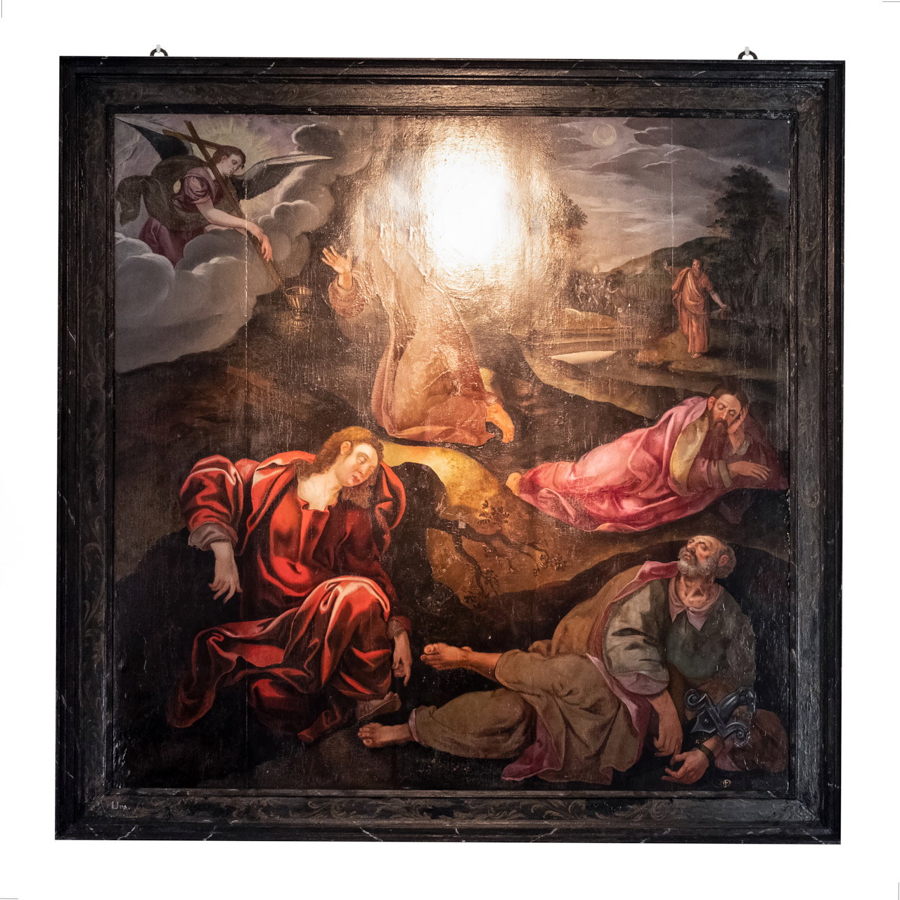 “… PELA TUA LUZ VEMOS A LUZ”  