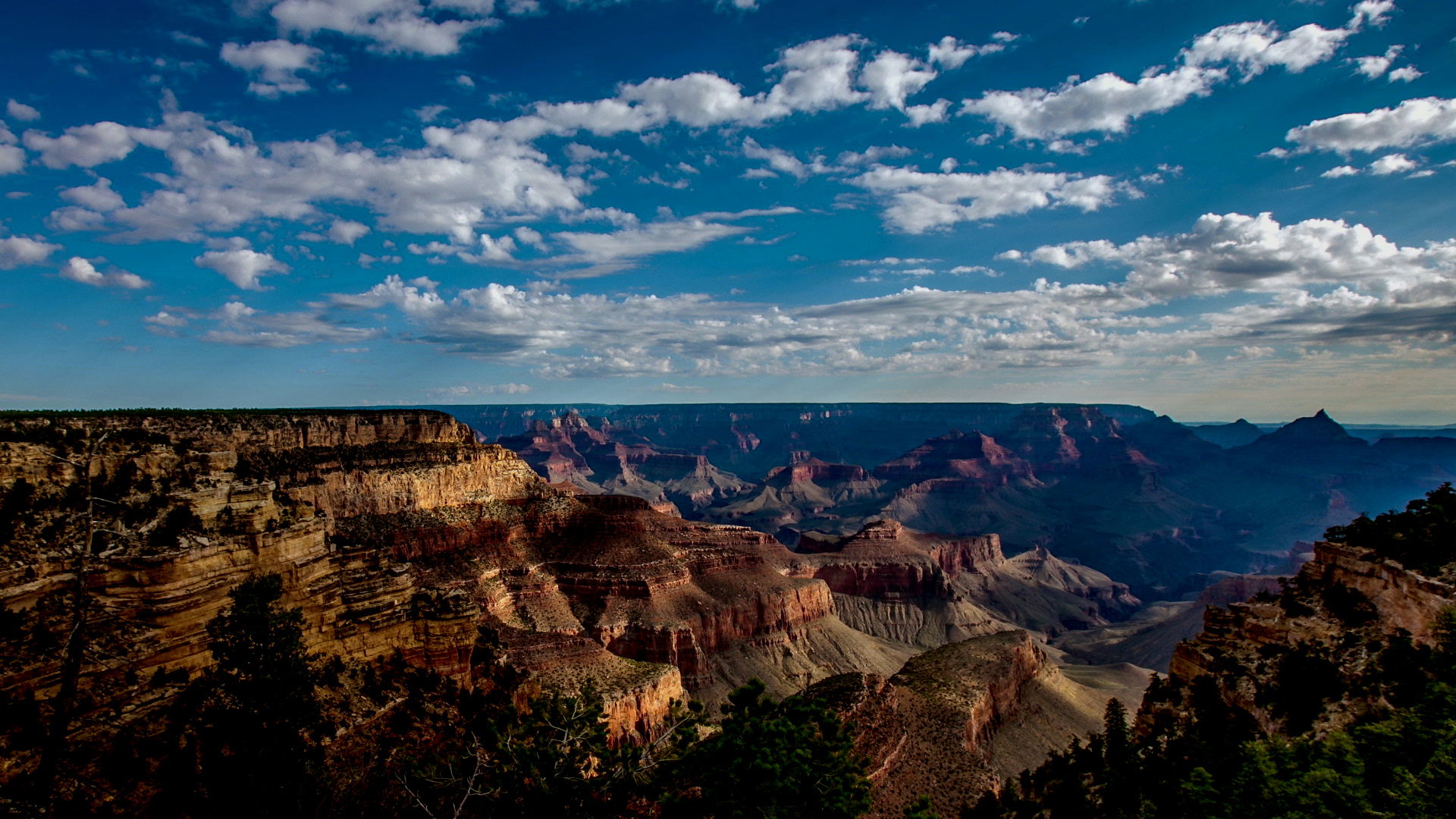 Nat Geo | THE MOMENT
