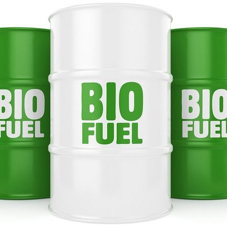 Biofuel Production