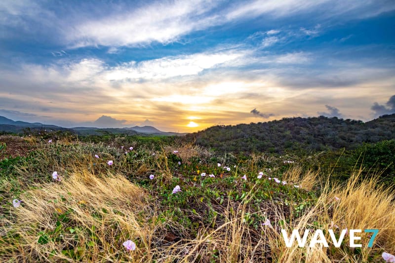 Social media and website photography