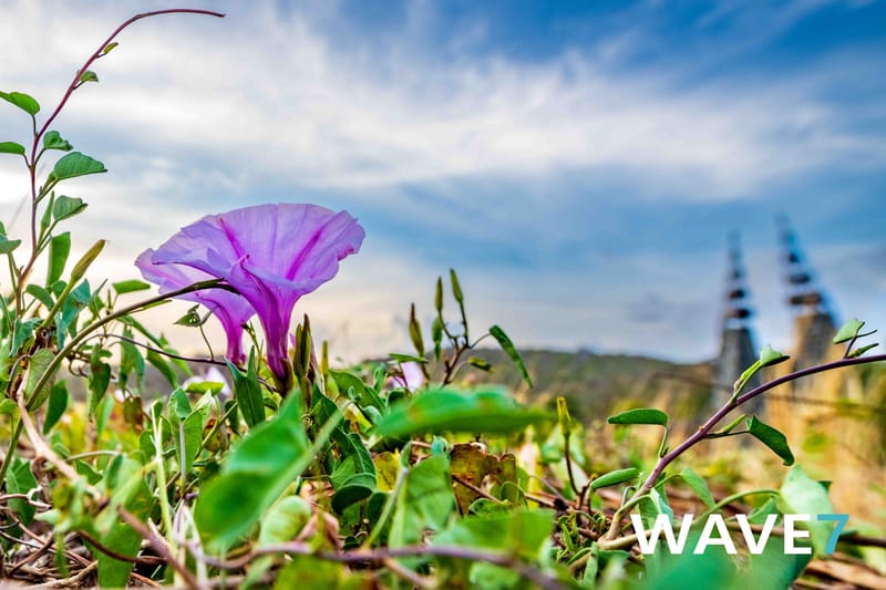 Social media and website photography