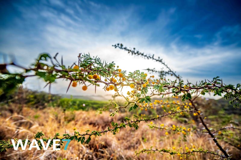 Social media and website photography