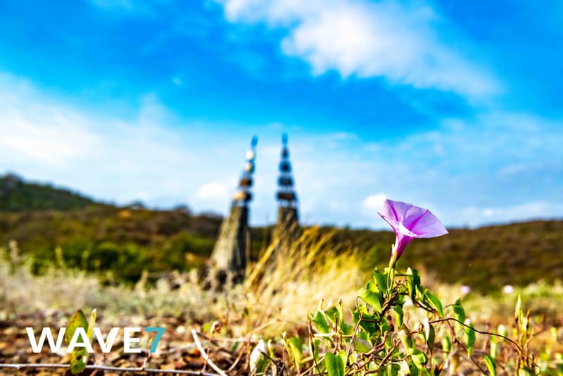 Social media and website photography