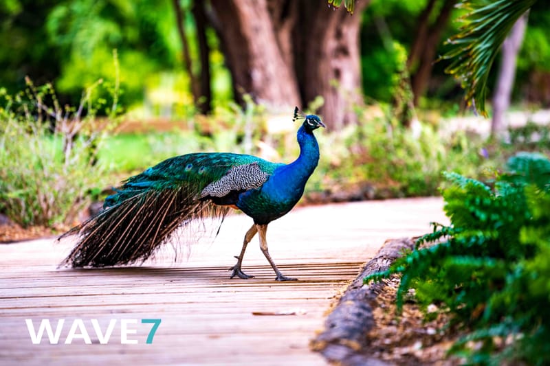 Social media and website photography