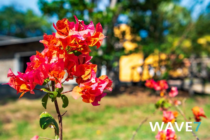 Social media and website photography