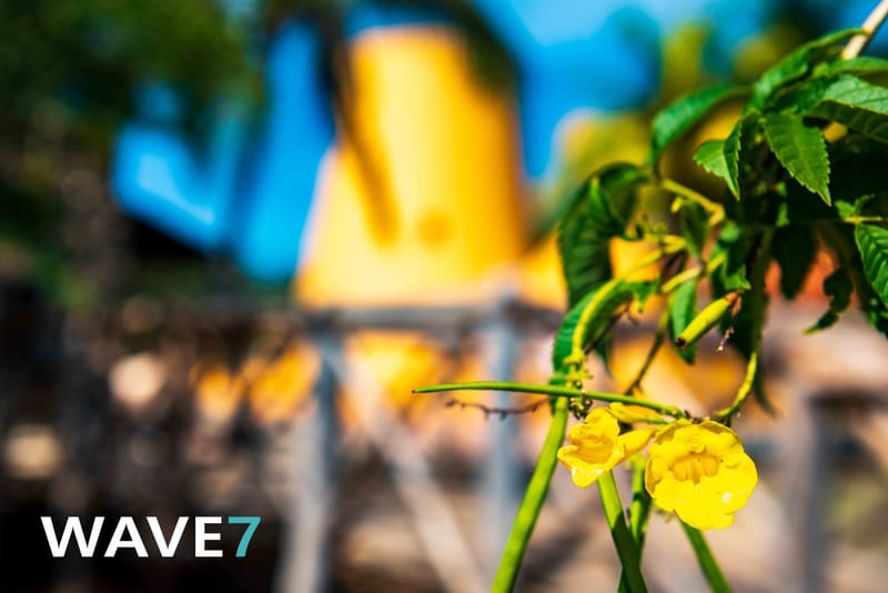 Social media and website photography