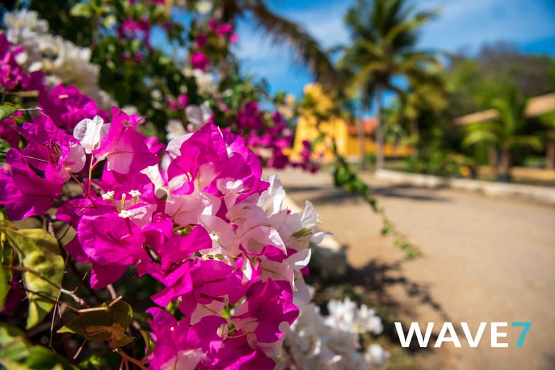 Social media and website photography