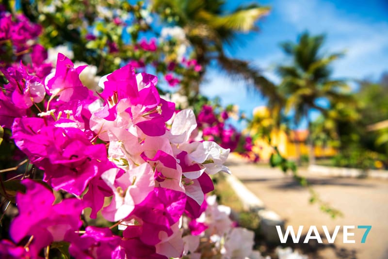 Social media and website photography