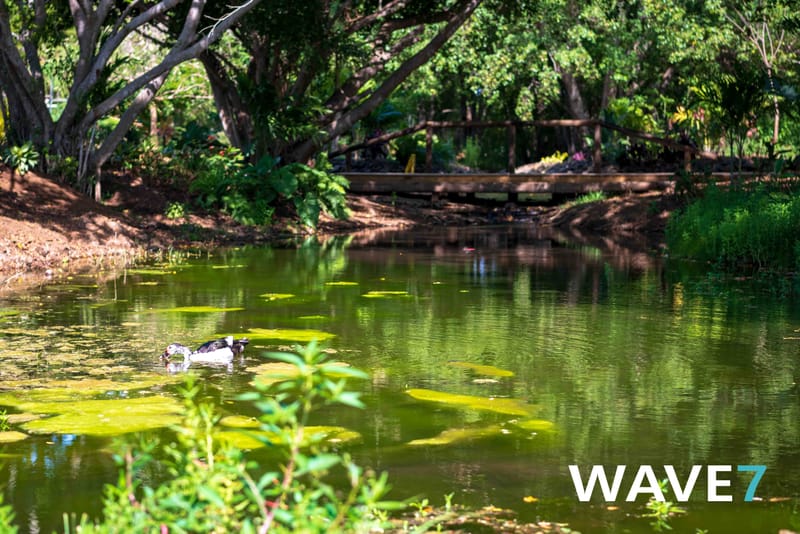 Social media and website photography