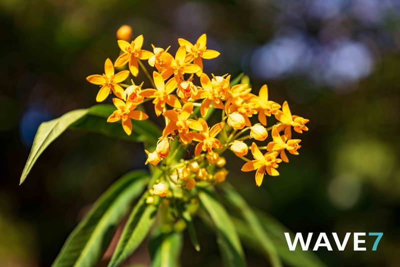 Social media and website photography