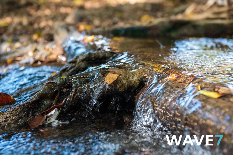 Social media and website photography