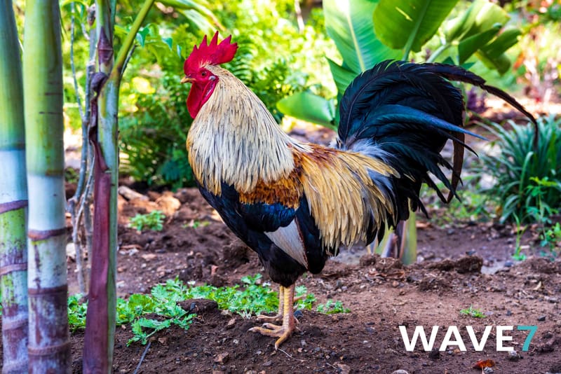 Social media and website photography